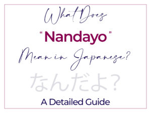 What Does Nandayo Mean in Japanese A Detailed Guide How to Use なんだよ 何だよ