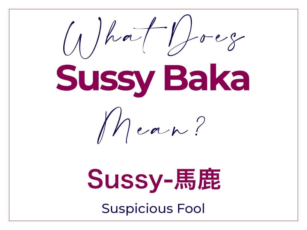 What Does Sussy Baka Mean