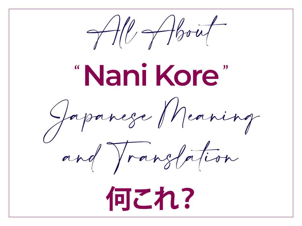 All About Nani Kore Japanese Meaning and English Translation 何これ　なにこれ
