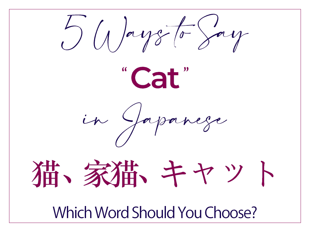 How to Say Cat in Japanese - Complete Guide With Kanji 猫 neko 家猫 ieneko キャット kyatto
