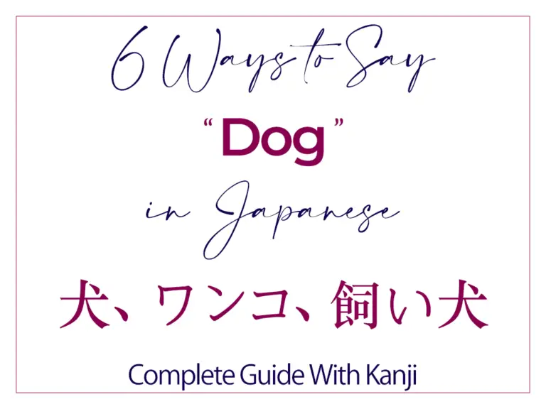 How To Say Dog In Japanese