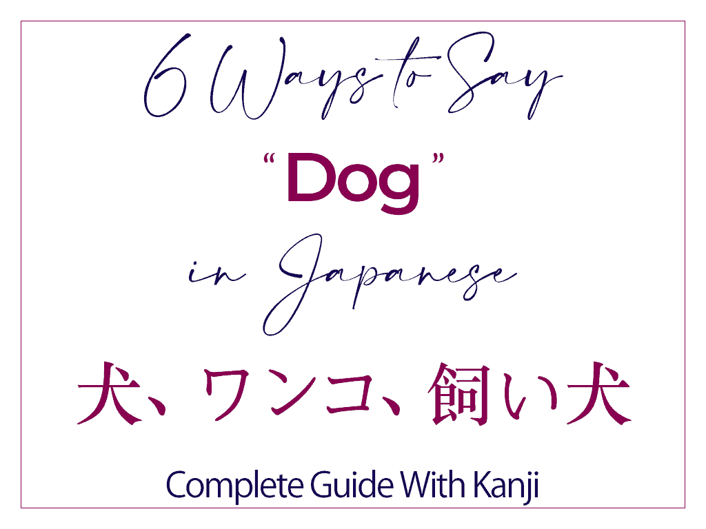 How to Say Dog in Japanese - Best Words With Kanji inu 犬 wanko ワンコ kaiinu 飼い犬